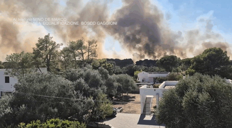 Screenshot 2024-10-01 132335