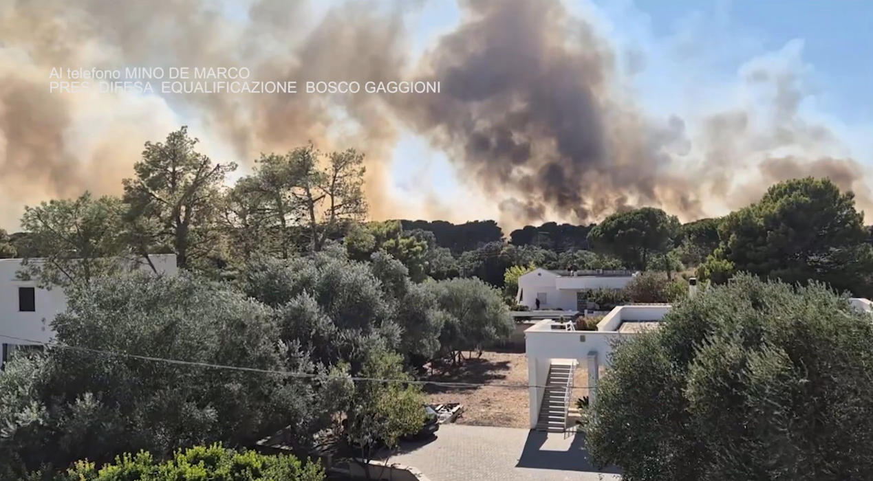 Screenshot 2024-10-01 132335