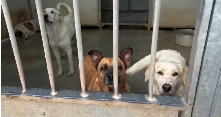 Screenshot 2024-10-30 133130