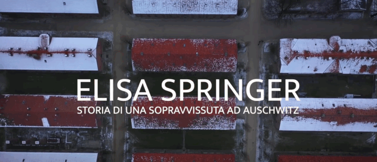 Immagine 2025-01-27 132135