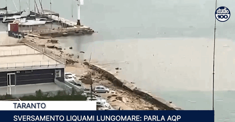 Immagine 2025-02-03 152208