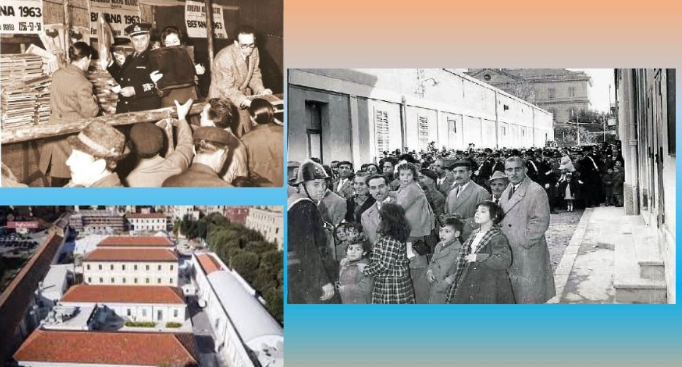 Immagine 2025-02-12 152134