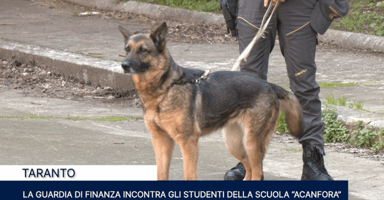 Immagine 2025-03-04 152708