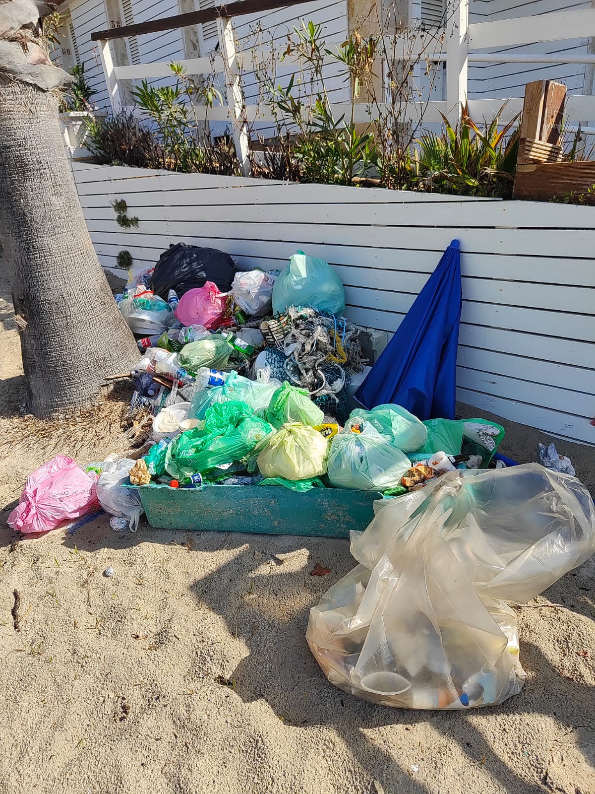 WhatsApp Image 2025-05-07 at 11.30