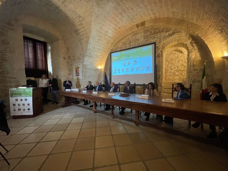 conf_st_TEF2025_TA (4)