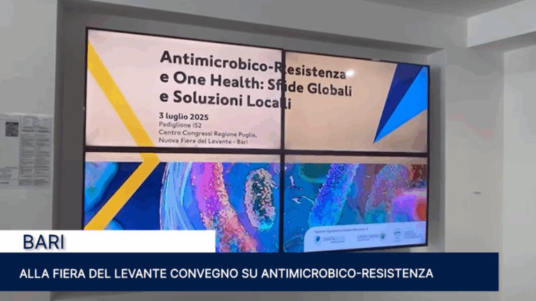 Immagine 2025-07-04 145936