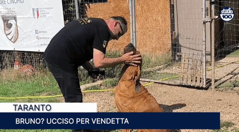 Immagine 2025-07-08 143952