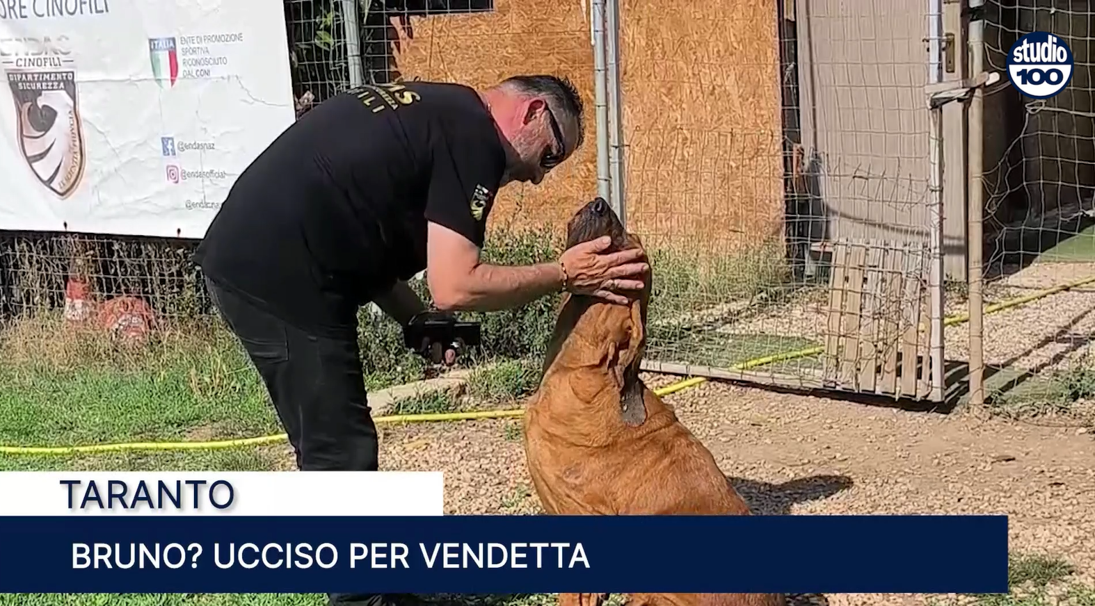 Immagine 2025-07-08 143952