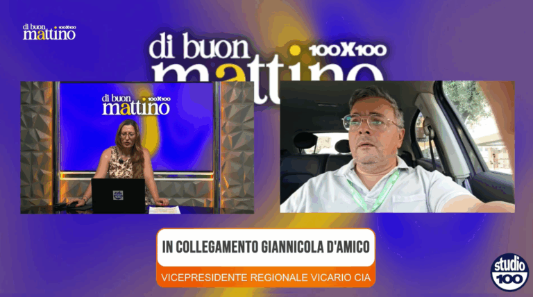 Immagine 2025-07-17 095102