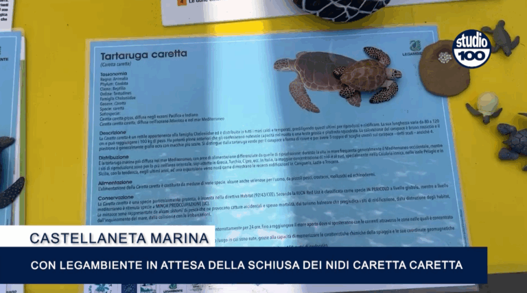 Immagine 2025-08-11 093019