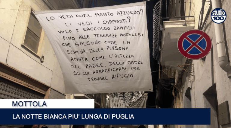 Immagine 2025-08-15 133546
