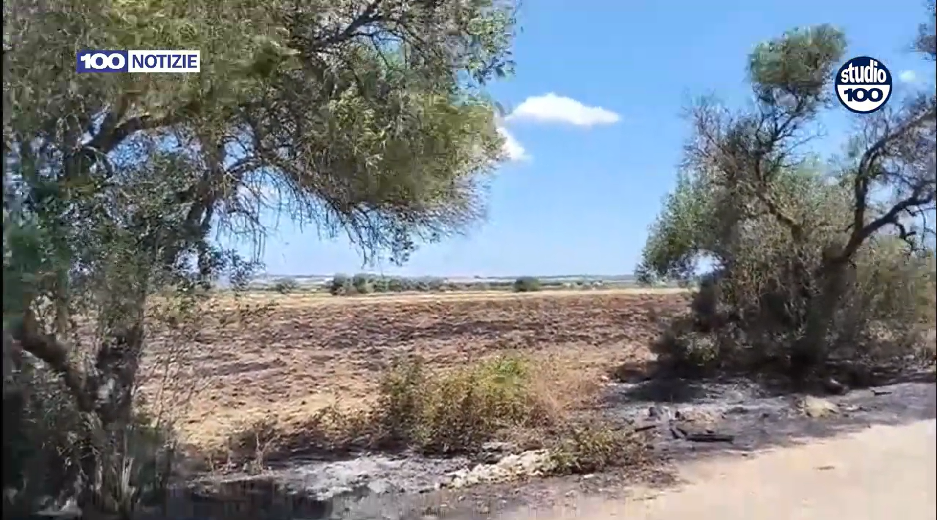 Screenshot 2025-08-02 152041