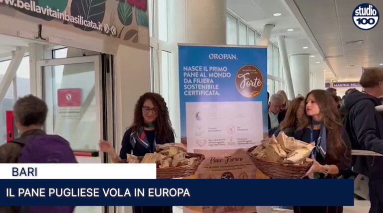 Immagine 2025-10-16 150339