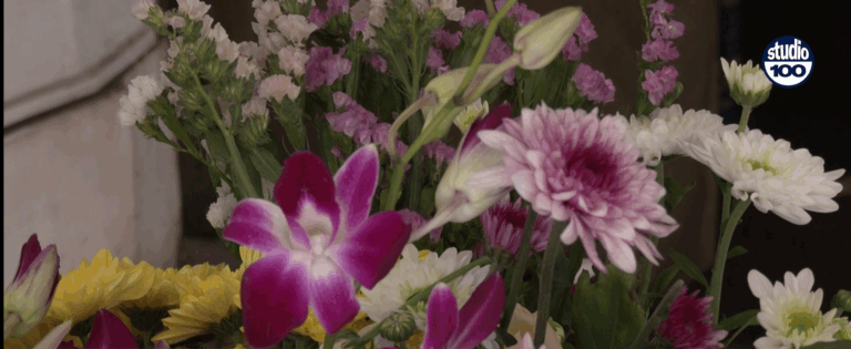 Immagine 2025-11-02 142509