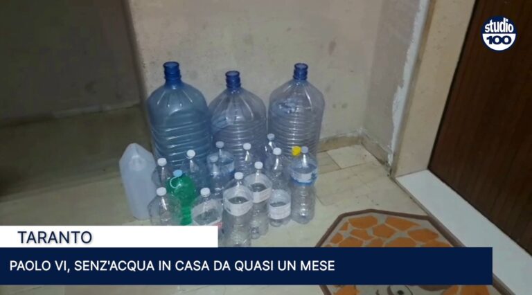 Immagine 2025-11-14 145137