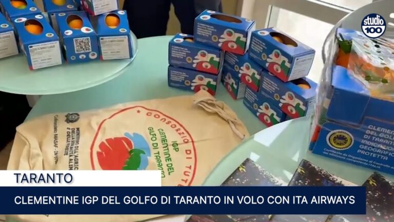 Immagine 2025-11-17 150909