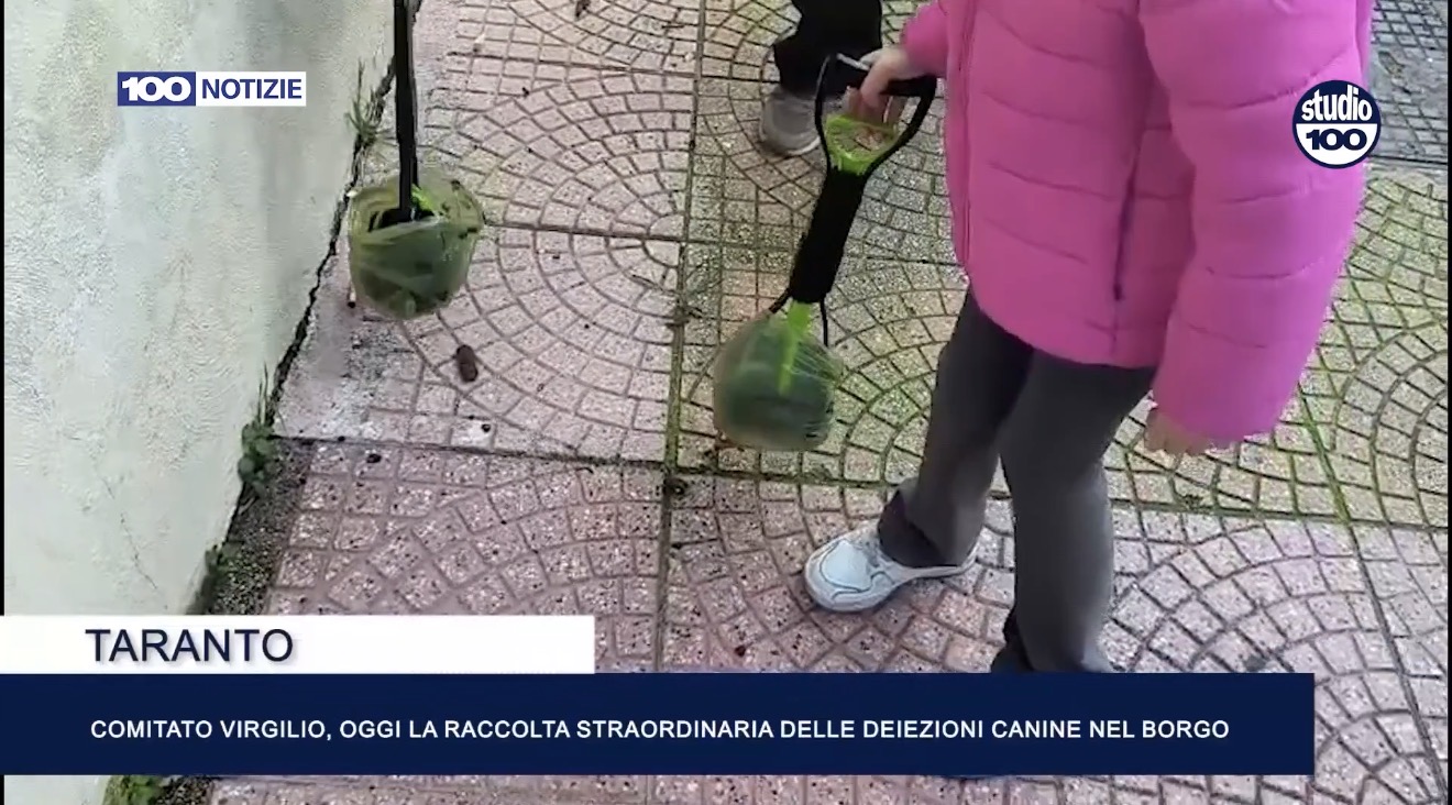 Deiezioni canine