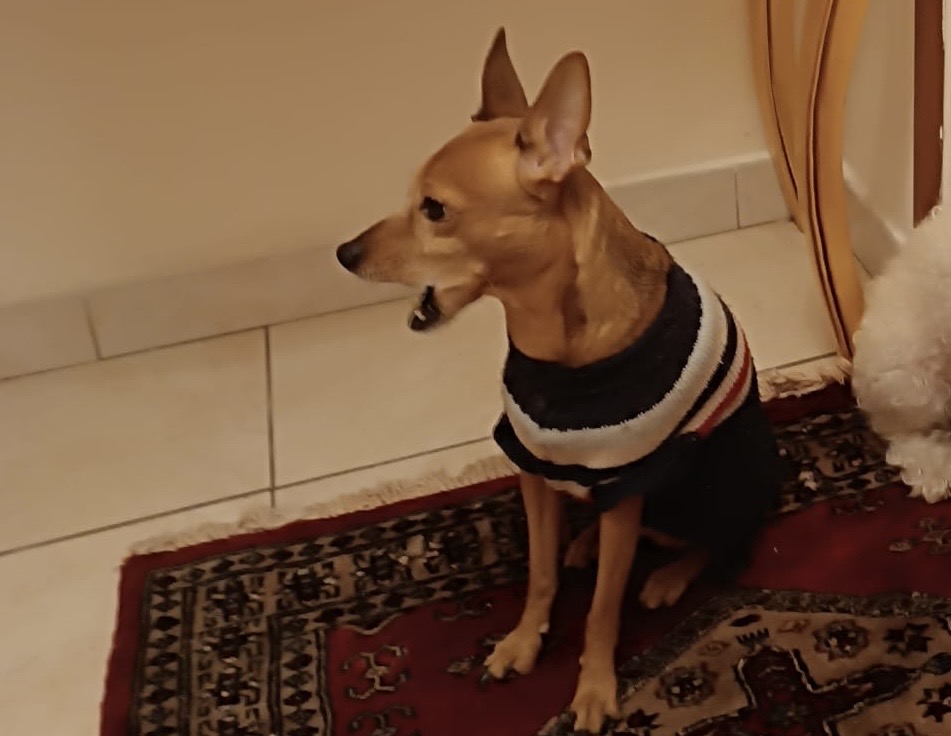 b7012ab8-c37c-43cd-81e0-a05874a27b2a