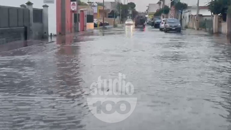 DANNI MALTEMPO TALSANO ETC