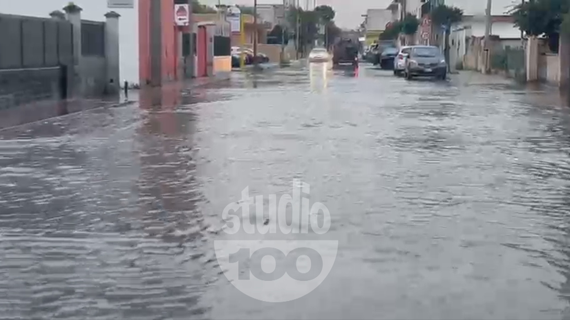 DANNI MALTEMPO TALSANO ETC