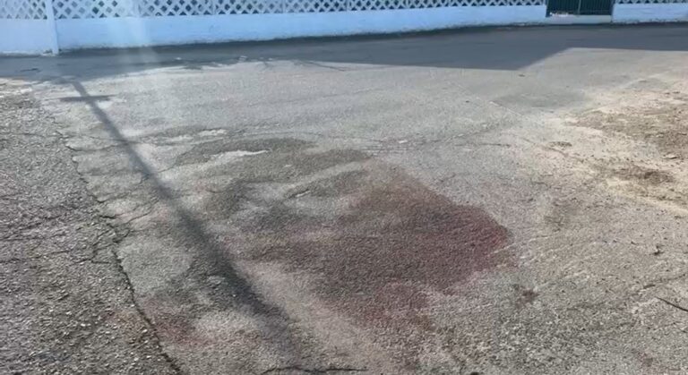 Immagine 2026-01-13 101234