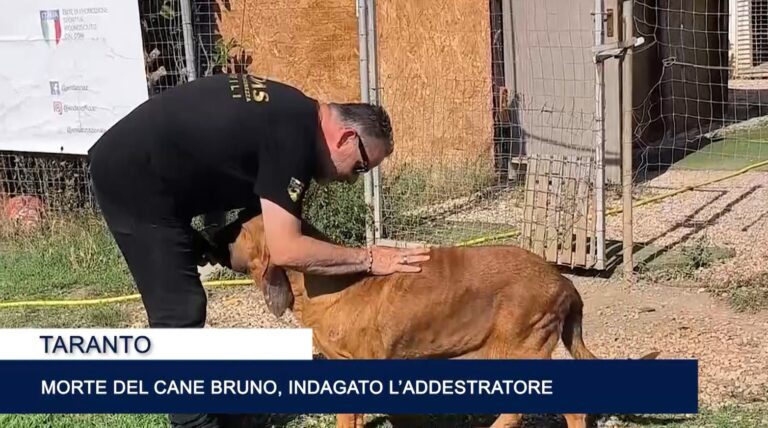 Immagine 2026-01-23 150121