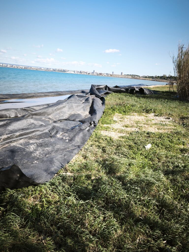 5e53938d-d80c-4fcc-91f2-13044ae767b8