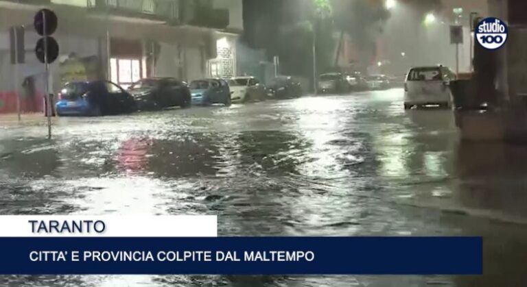 Immagine 2026-02-15 132253