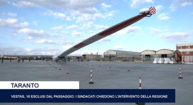 Immagine 2026-02-19 141543