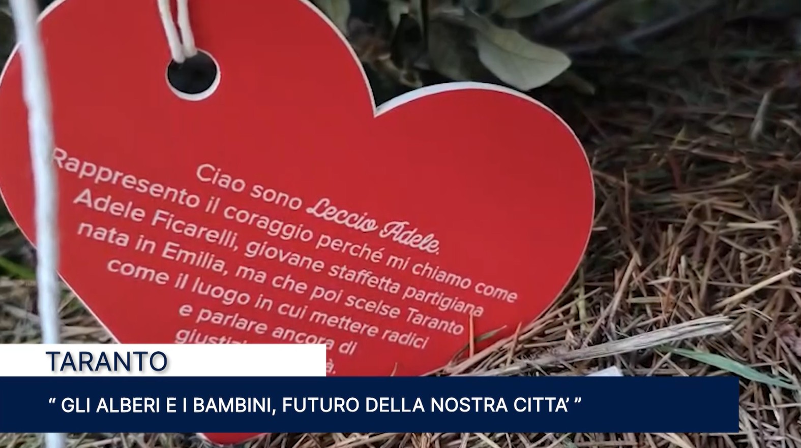 Immagine 2026-02-20 140425