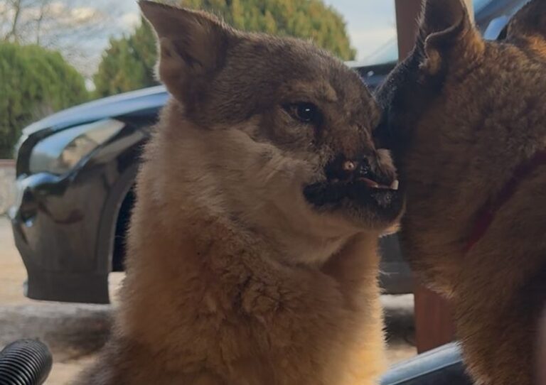 WhatsApp Image 2026-02-02 at 15.29