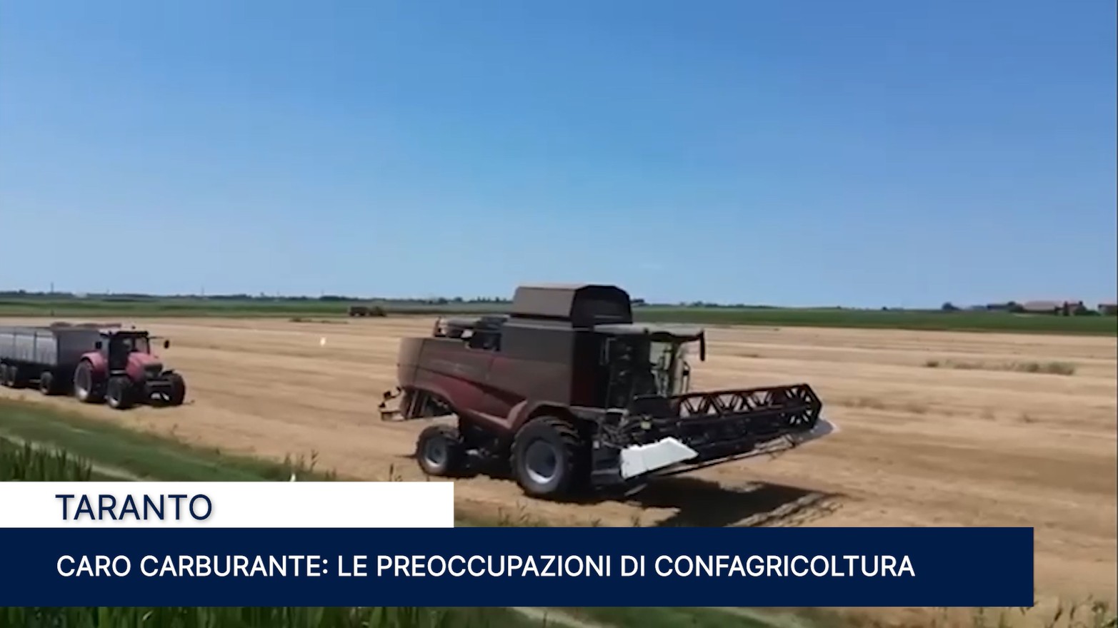 Immagine 2026-03-19 130155