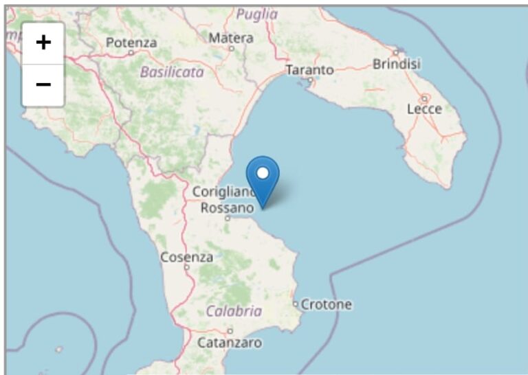 WhatsApp Image 2026-03-06 at 14.41