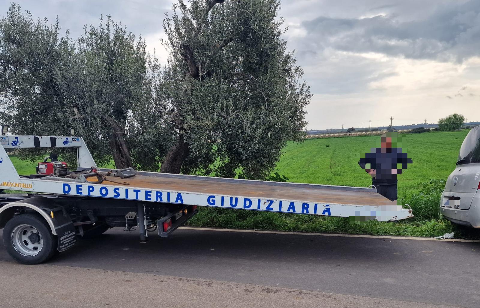 WhatsApp Image 2026-03-08 at 16.34