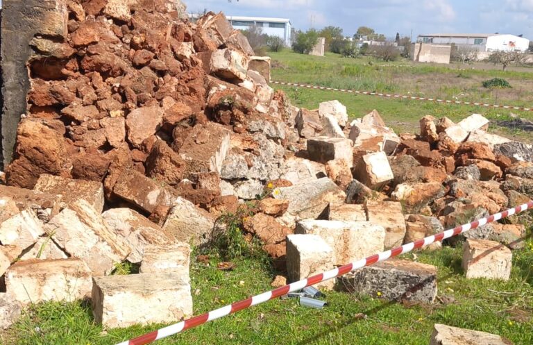 WhatsApp Image 2026-03-11 at 14.35