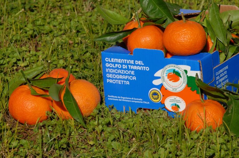 Clementine