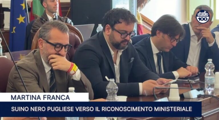 Immagine 2026-04-17 145839