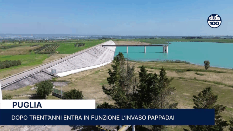 invaso pappadai logo