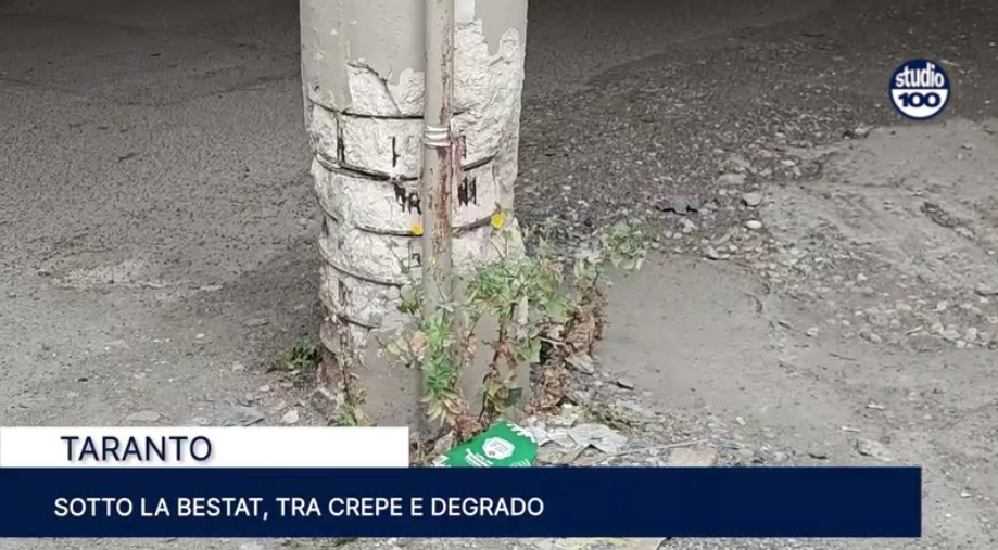 Immagine 2026-05-06 124321