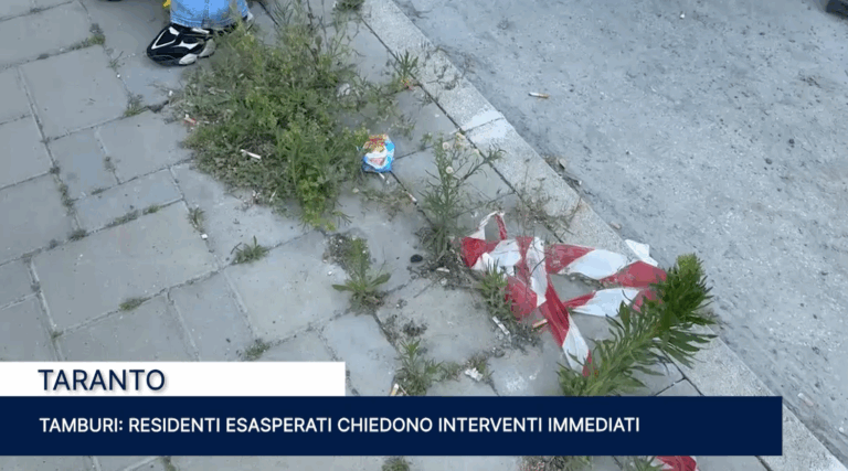 Immagine 2026-05-27 150001
