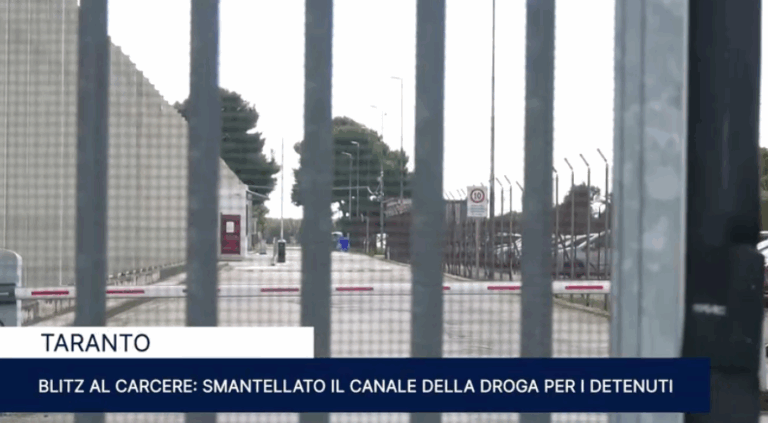 Immagine 2026-06-18 132656