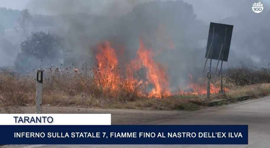 Immagine 2026-07-14 134613