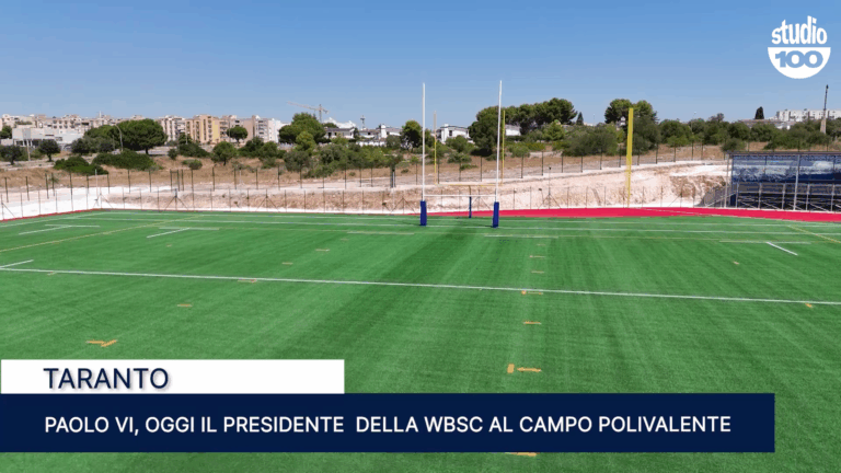 logo campo