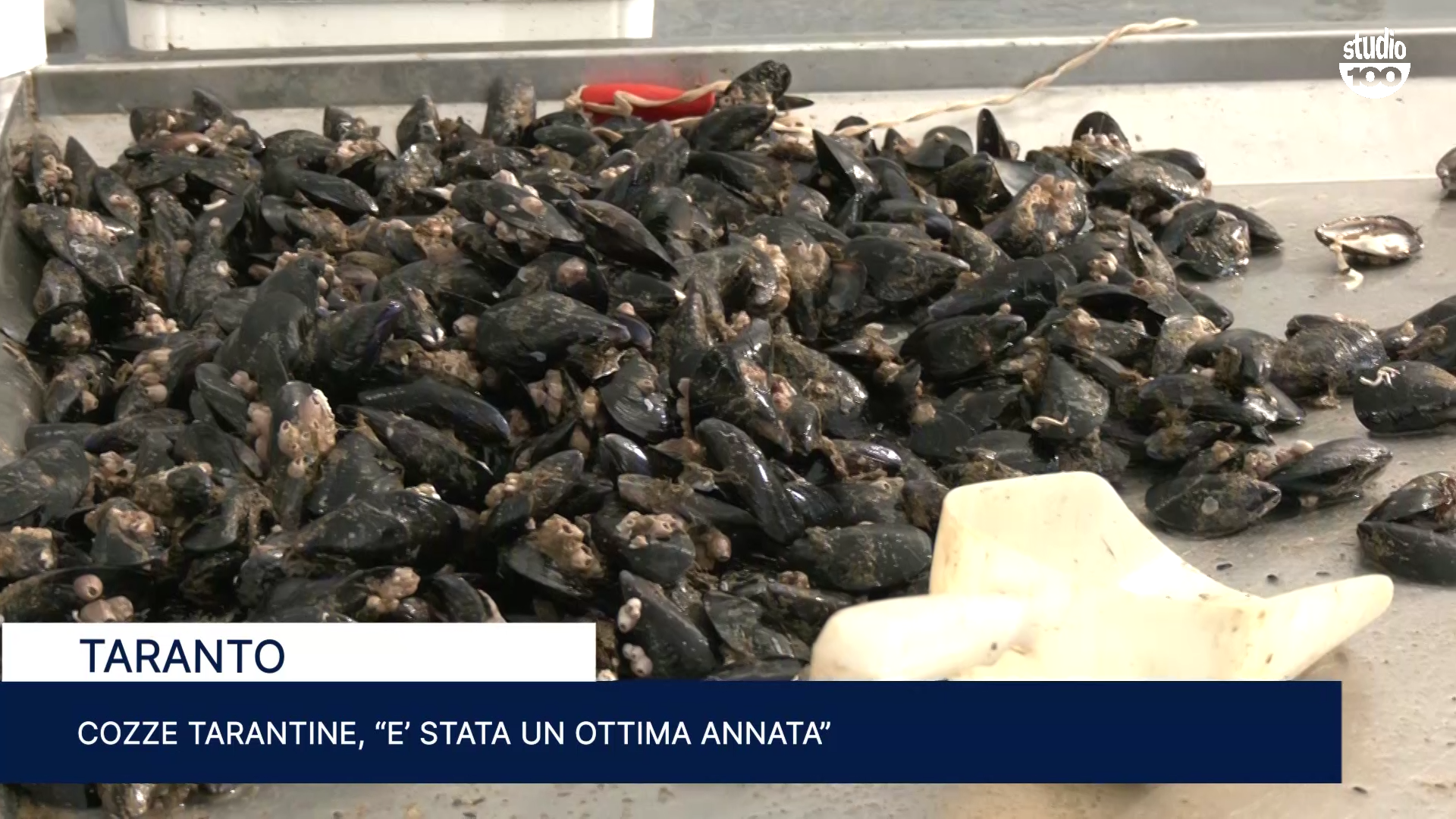 COZZE