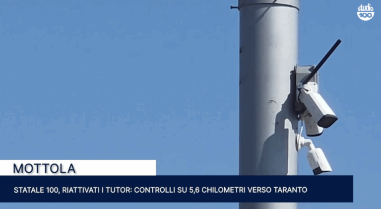 Immagine 2026-08-12 150046
