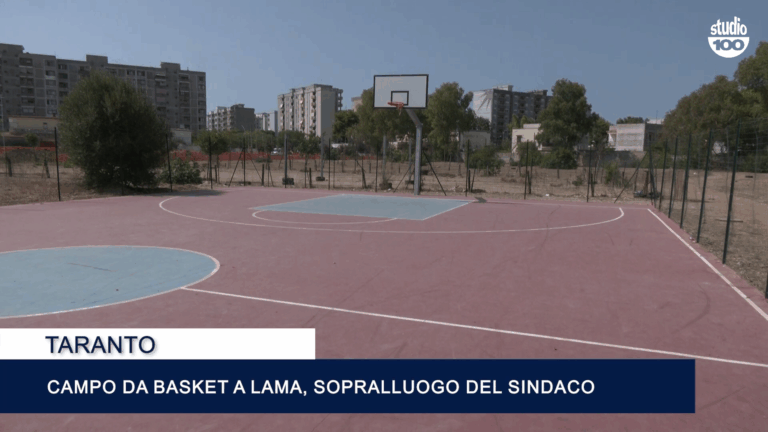 campo basket