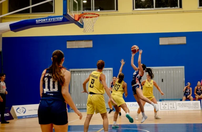 ErrepiNet Dinamo